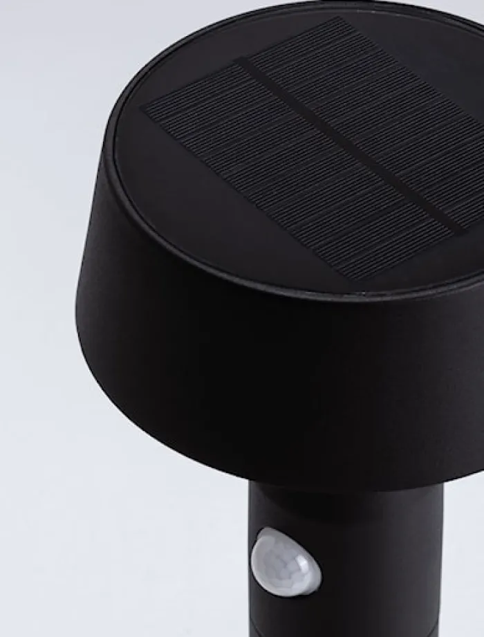 Lampa ogrodowa Choope LED solarna czarna