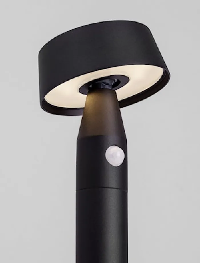 Lampa ogrodowa Choope LED solarna czarna