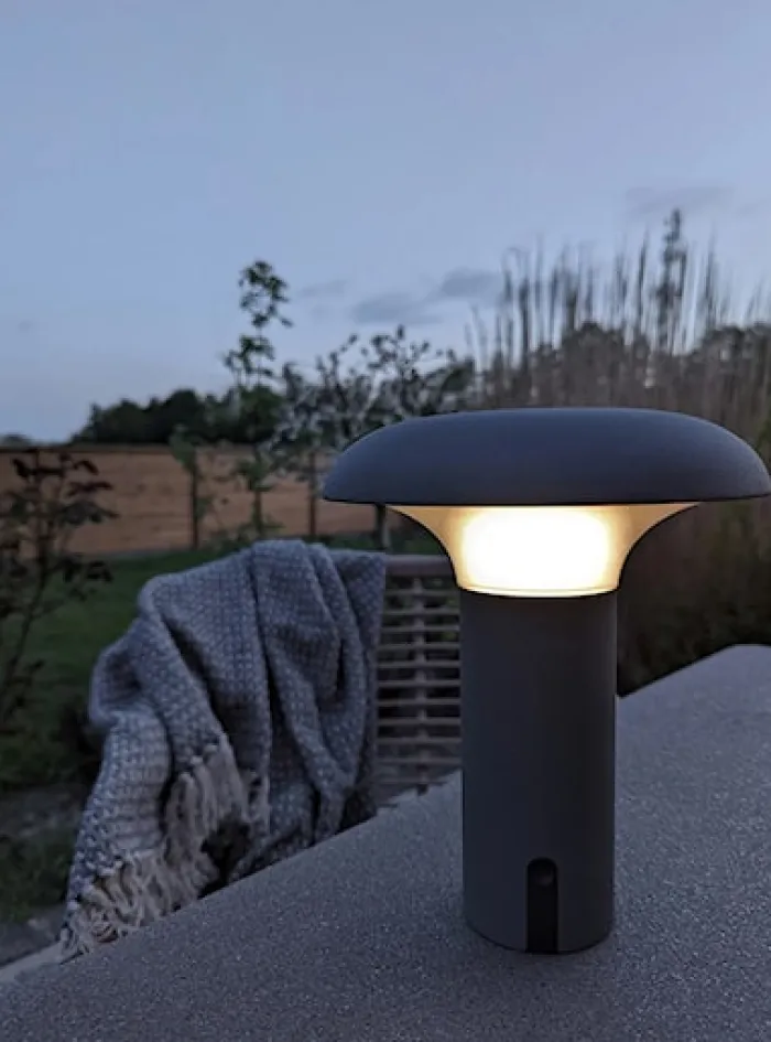 Lampa ogrodowa Miraeled LED szara