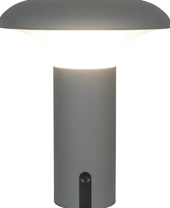 Lampa ogrodowa Miraeled LED szara