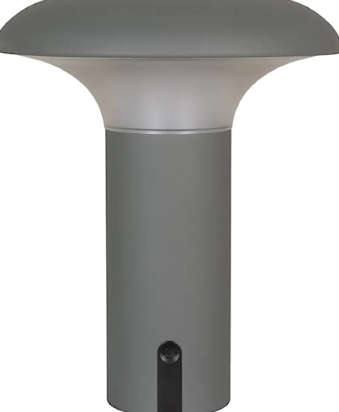 Lampa ogrodowa Miraeled LED szara