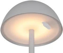 Lampa ogrodowa Ricardo LED szara