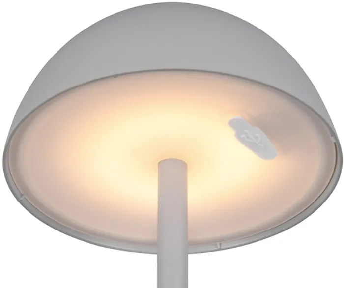 Lampa ogrodowa Ricardo LED szara
