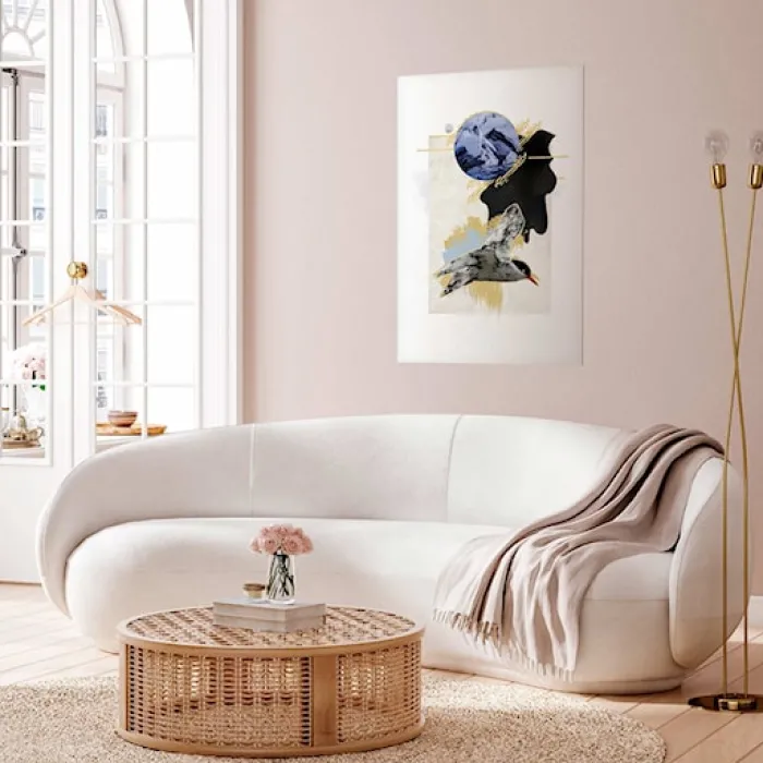 Plakat Rybitwa antarktyczna 60x40 cm