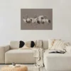 Plakat Taniec żurawi 60x40 cm
