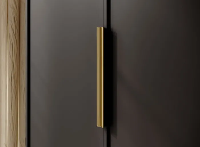 Szafa dwudrzwiowa Frame z drążkiem i półkami 100 cm Czarna