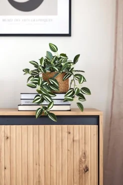 Szafka RTV Trend 193 cm z LED Dąb artisan