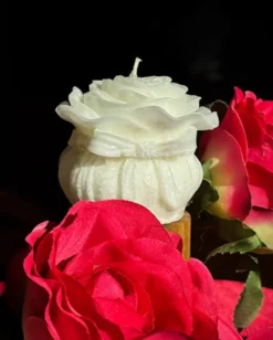 Świeca z wosku palmowego Rose Bow 155 g