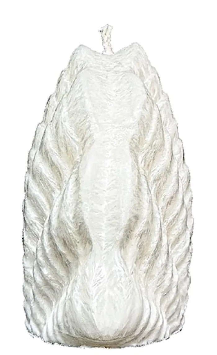 Świeca z wosku palmowego Shell 185 g